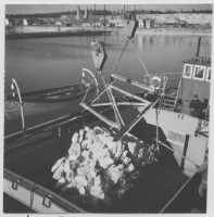 Gotländsk kalktransport