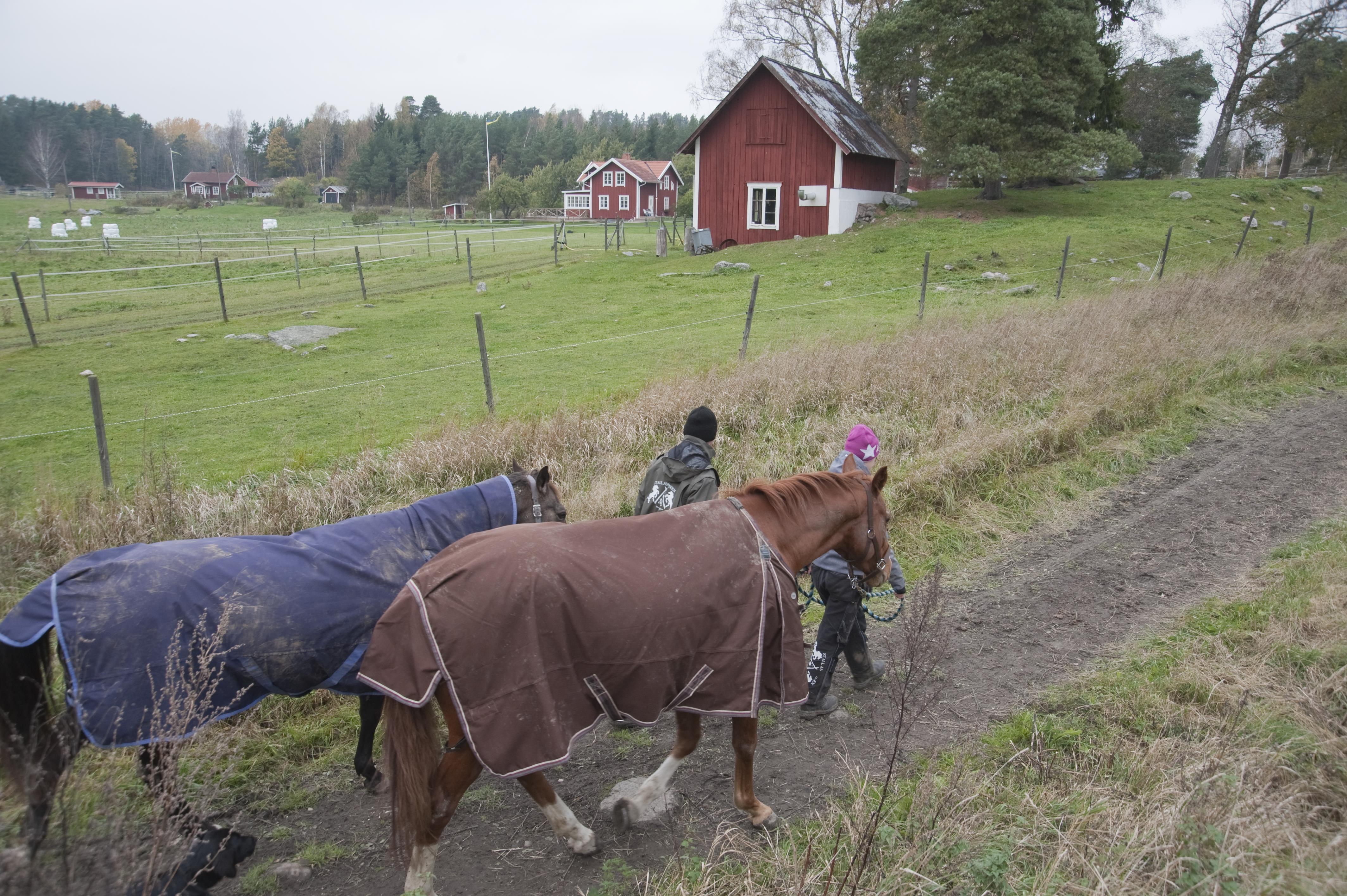 Bengt A Lundberg, Kvilunda gård