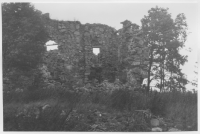 Eksjöhovgård, ruiner