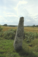 Image of Sö 131