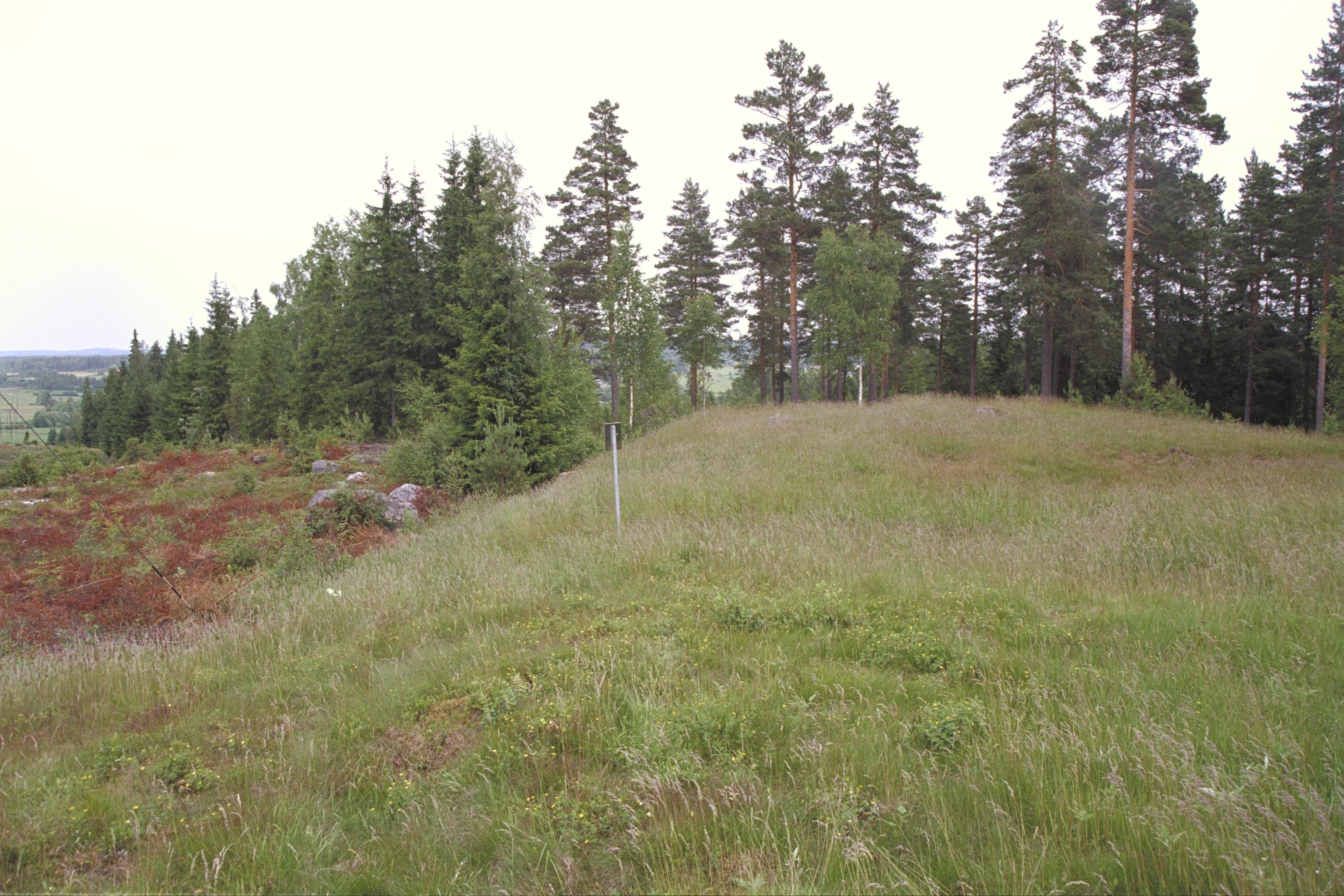 Bengt A Lundberg, Eda skansar