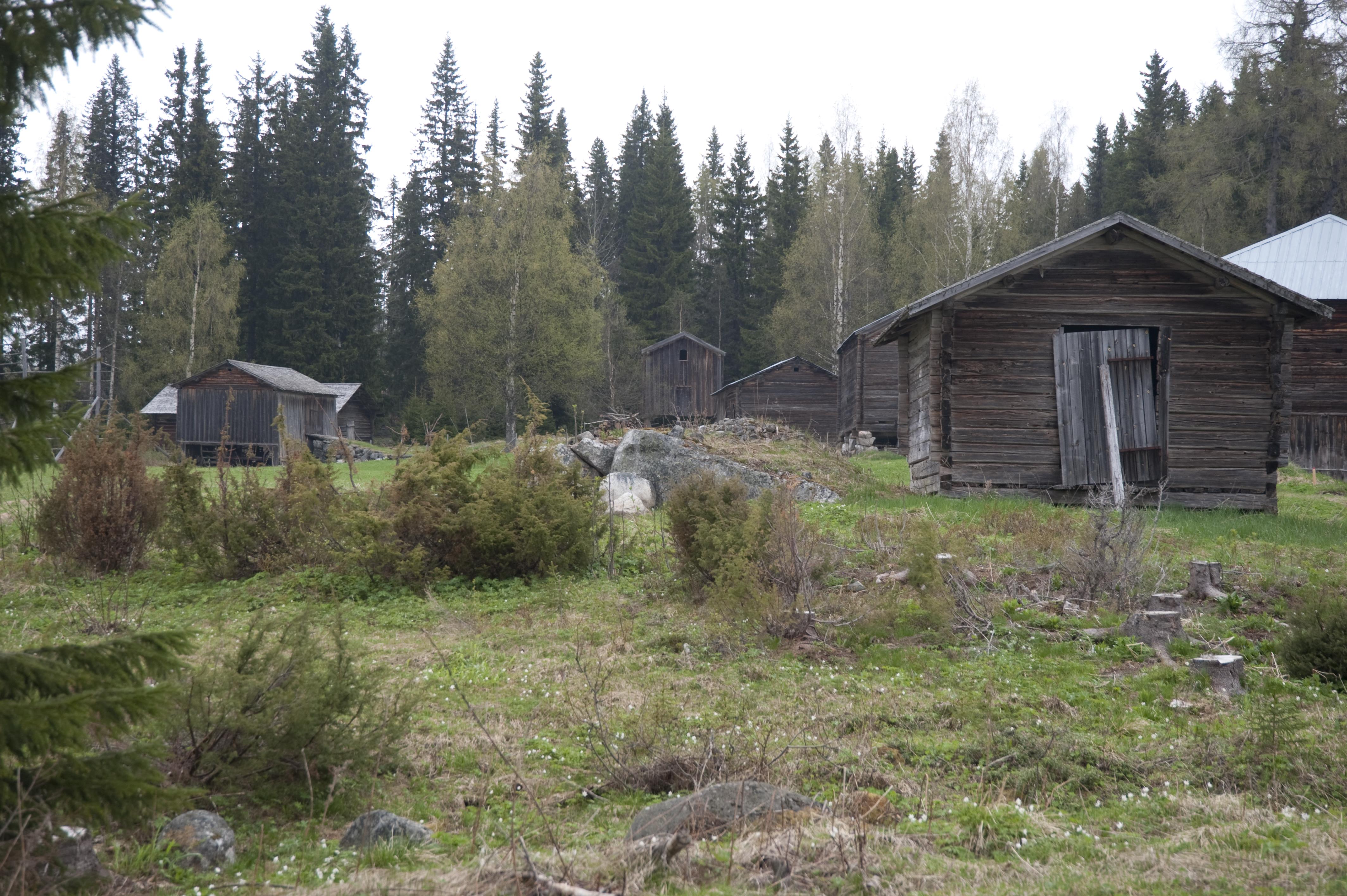 Bengt A Lundberg, Nordanstig Lindsjön 1:13