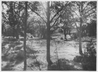 Borekulle, ödelagt torpställe