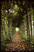 Övedsklosters slott