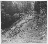 Tunabergs socken, rasbrant i skogen