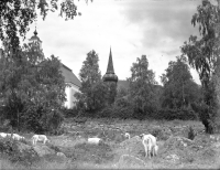 Borgsjö kyrka