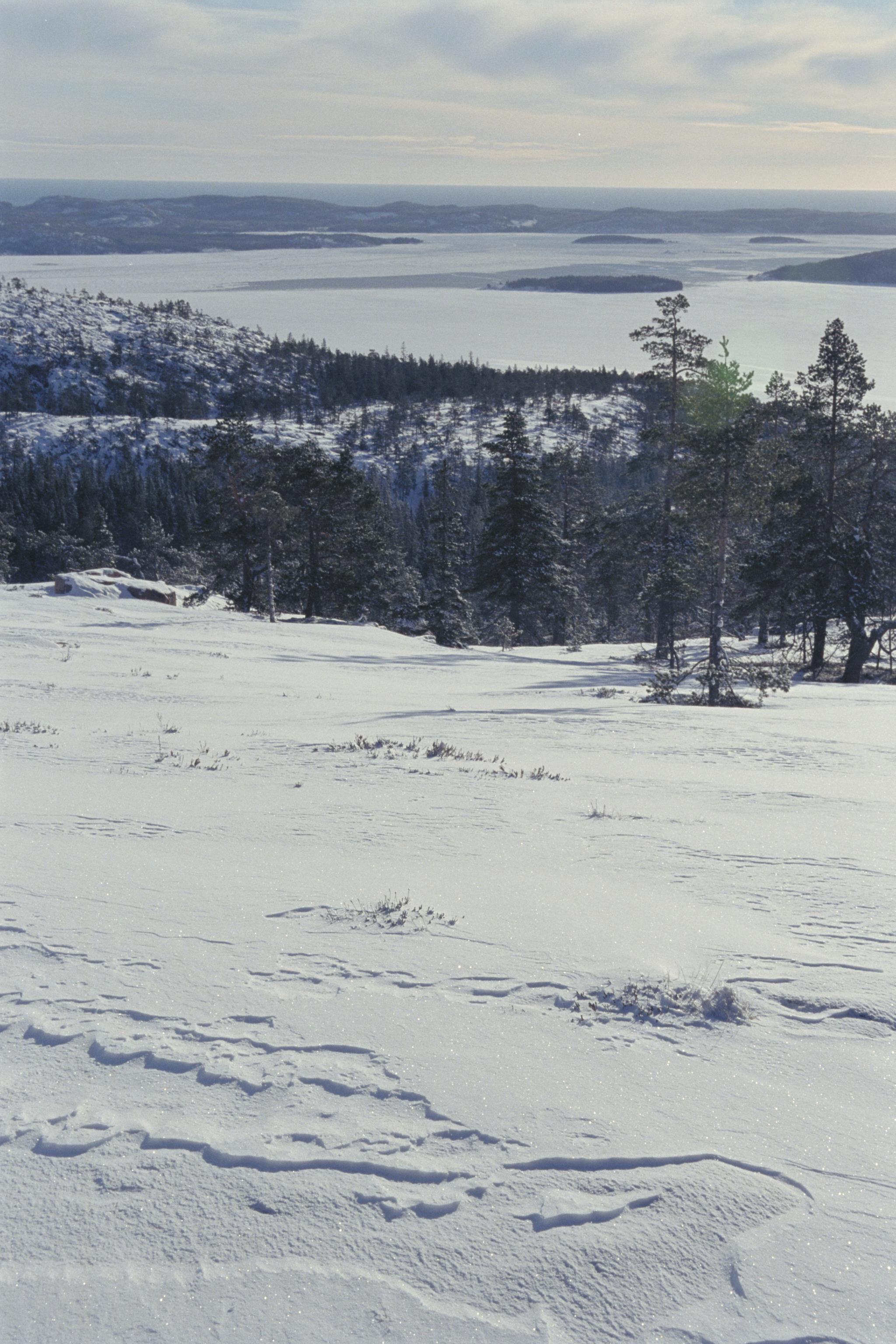 Bengt A Lundberg, Skuleskogens Nationalpark