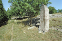 Image of Sö 188