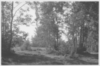 Åker bland gammal löväng vid sjön Undens östra strand