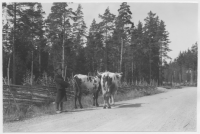 Vägen Vetlanda-Fröderyd