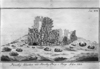 Tierp, Husbyborgs kyrkoruin