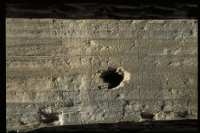 Image of Nä Fv1979;234