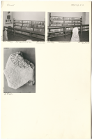 Image of Öl Köping3