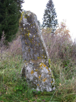 Image of Sö 95