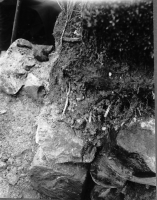 Dalby Heligkorskyrka