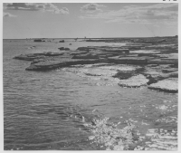 Havsstranden vid Sandby borg