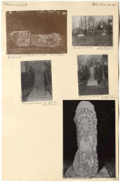 Berga. Runsignum: Vs 19