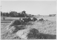 Järnåldersgravfältet på bygatan