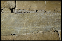 Image of Or Barnes22