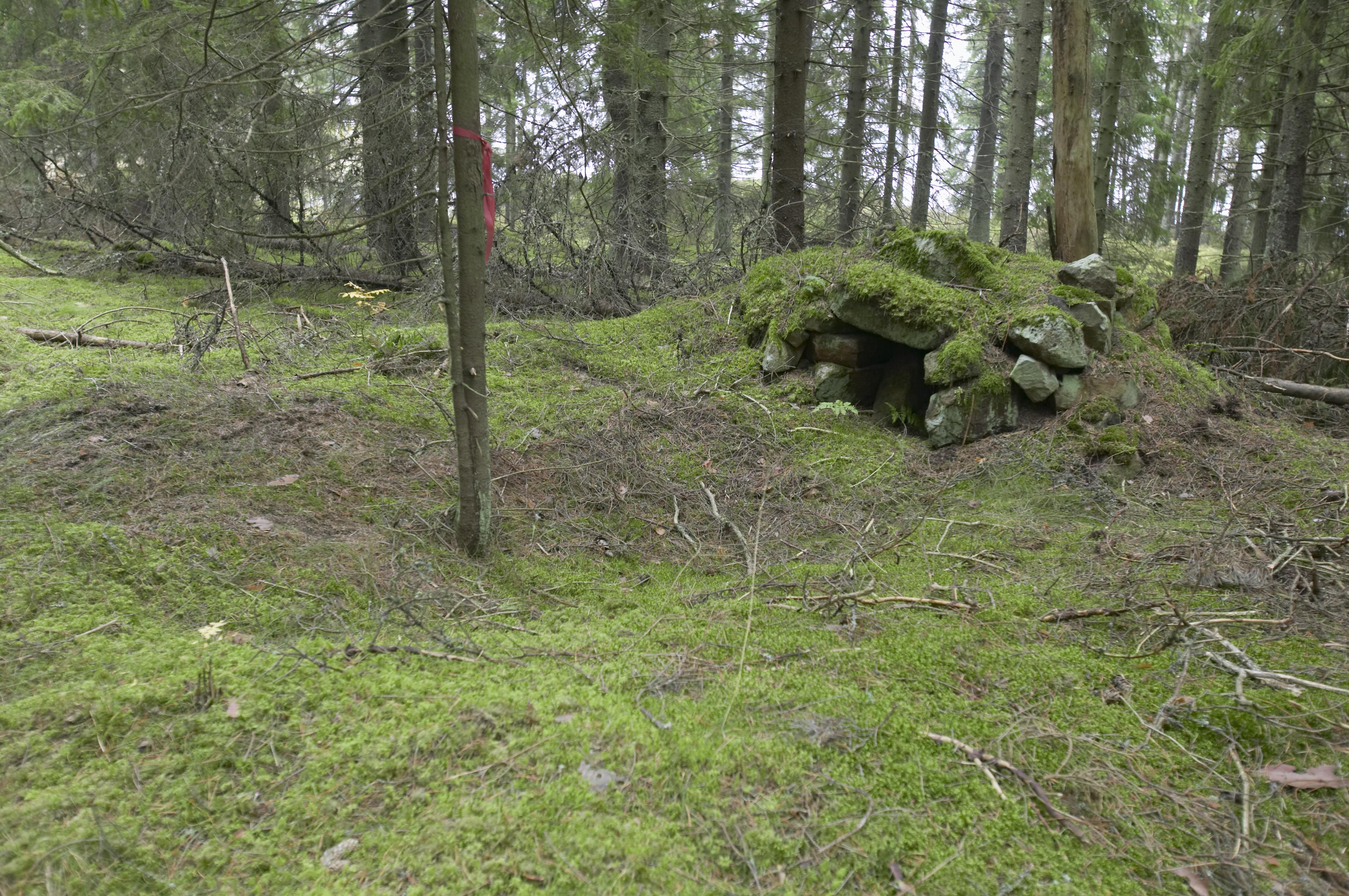 Bengt A Lundberg, Fagraholms fly