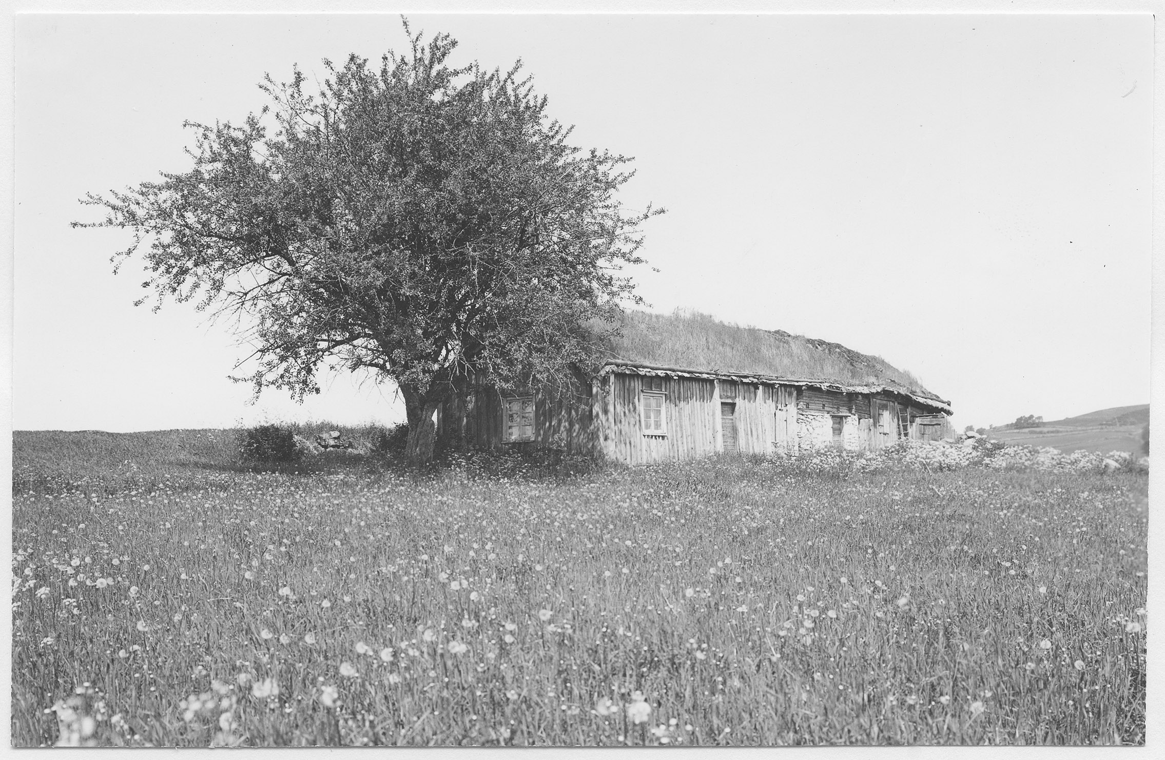 Mårten Sjöbeck, Tiarps socken, öde bondgård