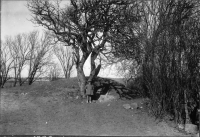 Träslövs kyrkoruin