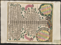 Vorstellung des von vielen Seculischer in den Hochsten Dignit. Der Welt Preiswurdigst Florterenden Stammbaums des Allerdurchlauchtigsten Ertz-Hauses Oesterreich von seinem uhrhalten Ursprung....[Bild]