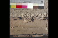 Image of Or Barnes21