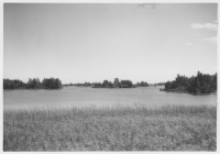 Köpmannebro, vänerstrand fotograferad från tåget