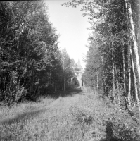 Frostviken, Sjoutnäsets kapell