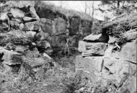 Skog, Sankt Olofs kapellruin