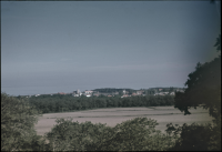 Borgholms slottsruin