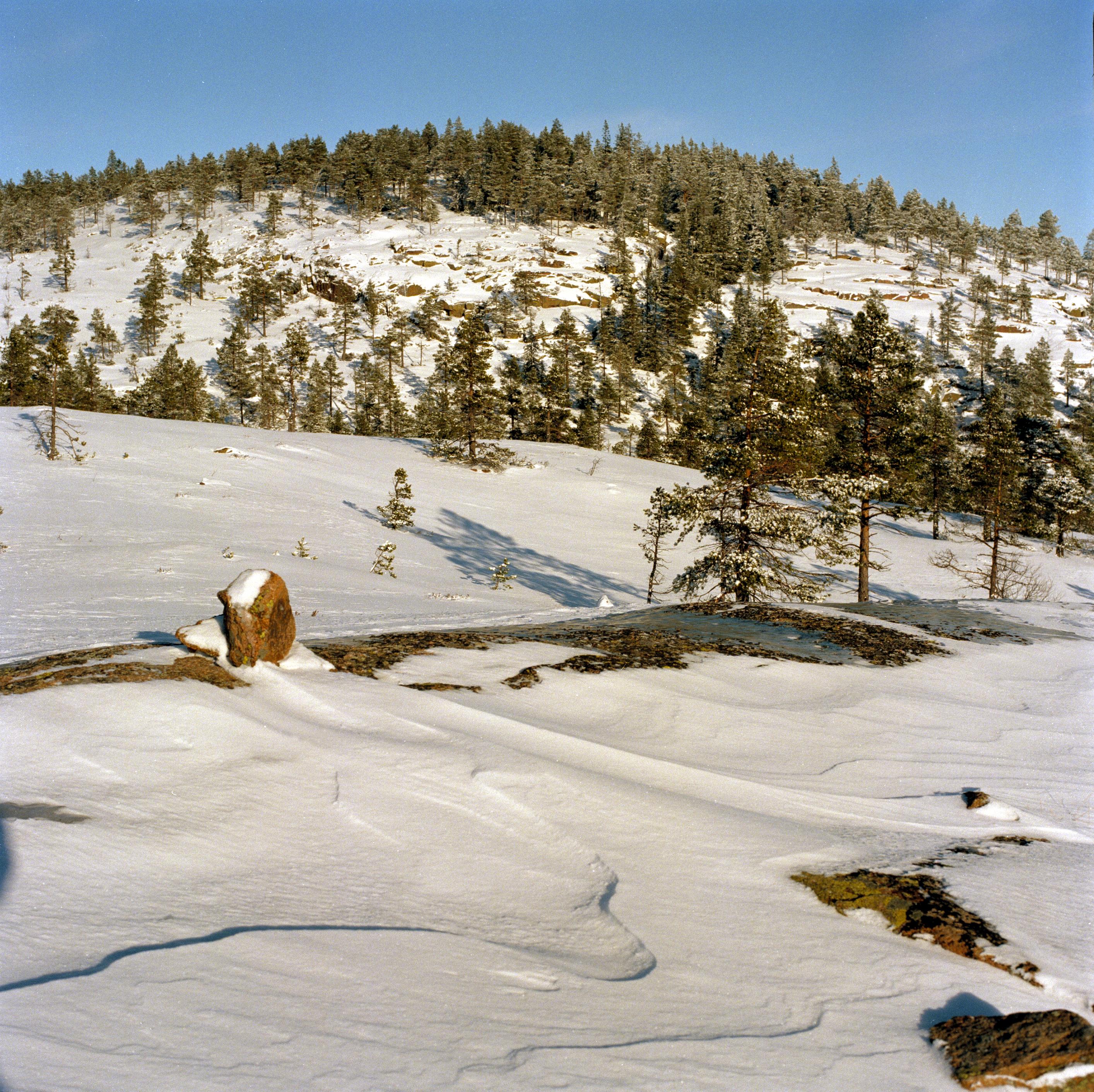 Bengt A Lundberg, Skuleskogens Nationalpark