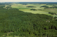 Husby-Långhundra 160:1