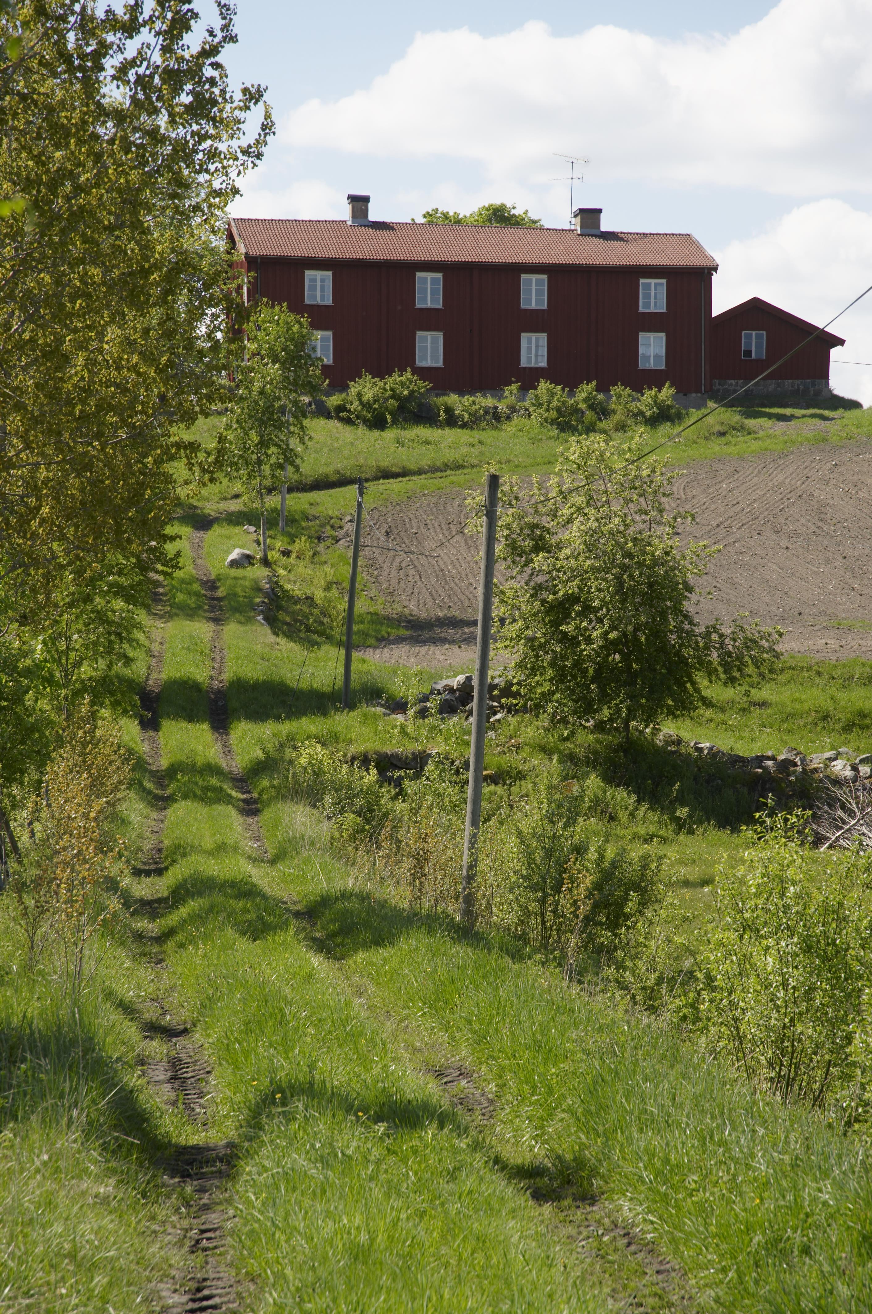 Bengt A Lundberg, Gåsborn