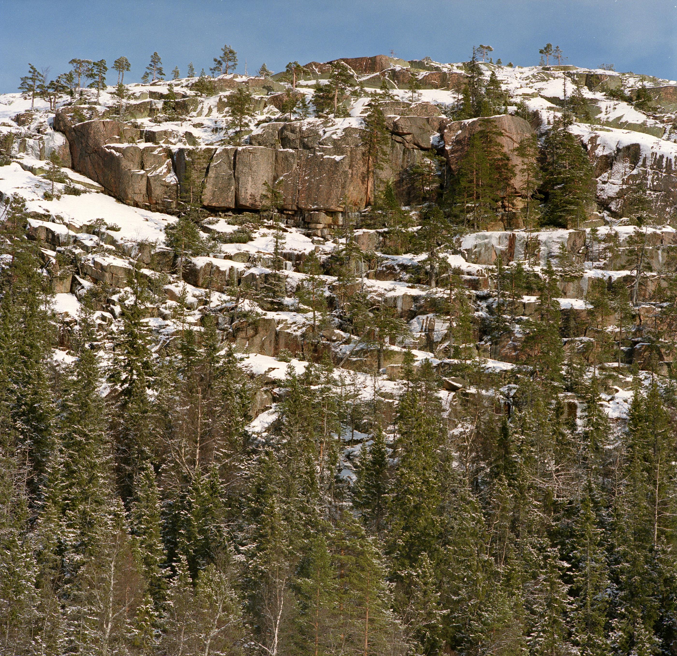 Bengt A Lundberg, Skuleskogens Nationalpark