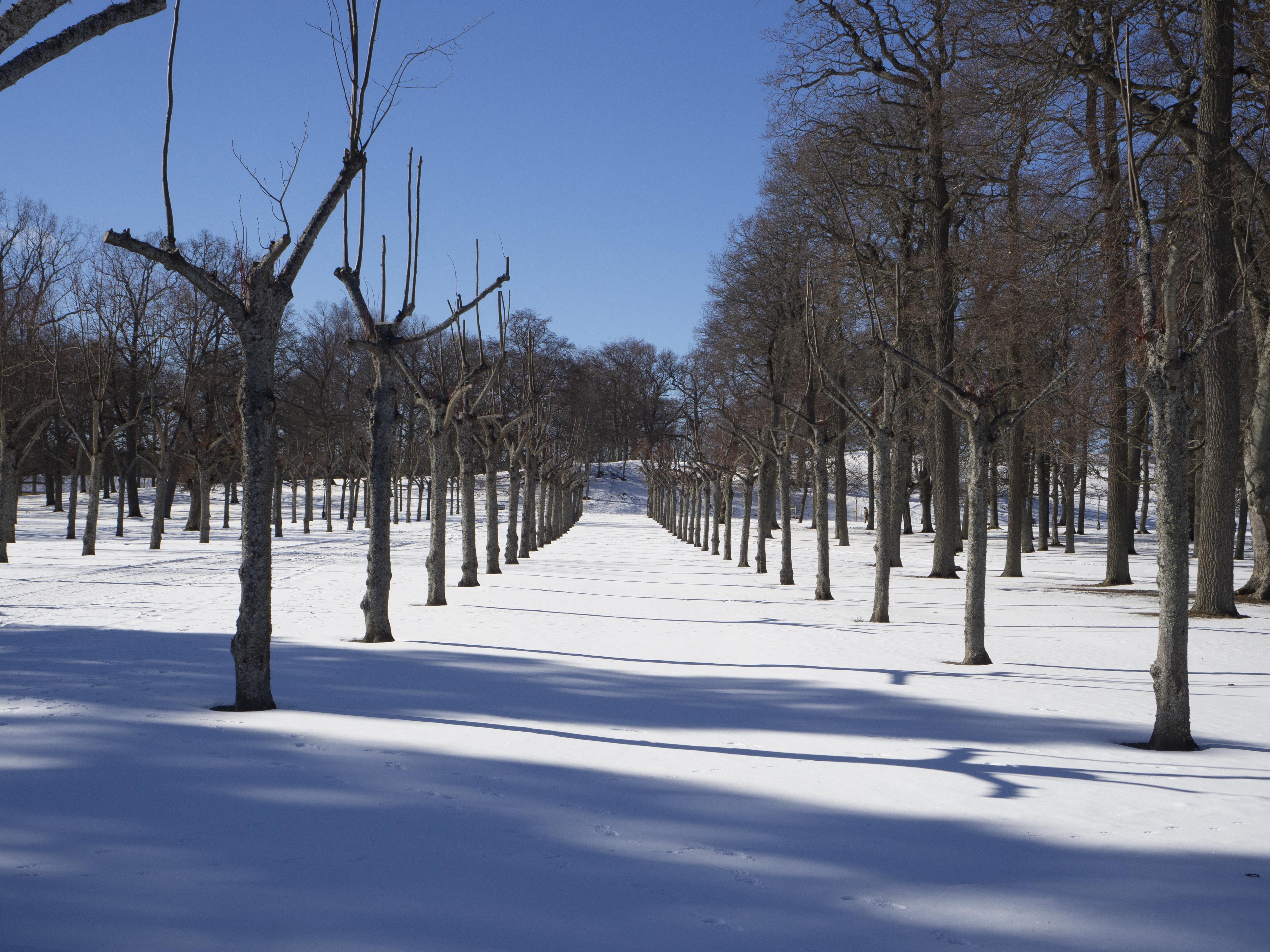 Leif Gren, Drottningholm