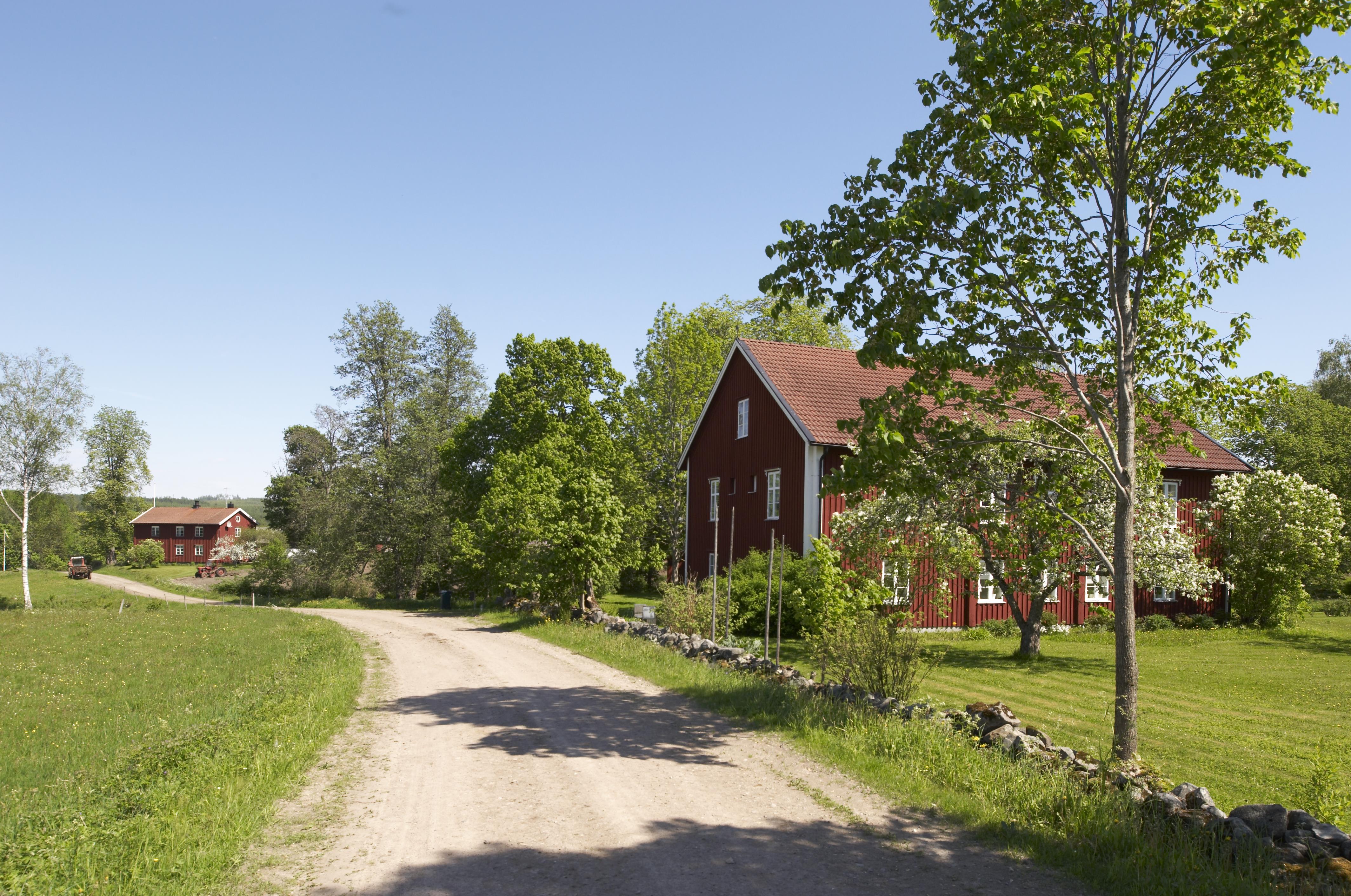 Bengt A Lundberg, Gåsborn