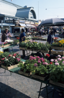 Stora Saluhallen, Kungstorget