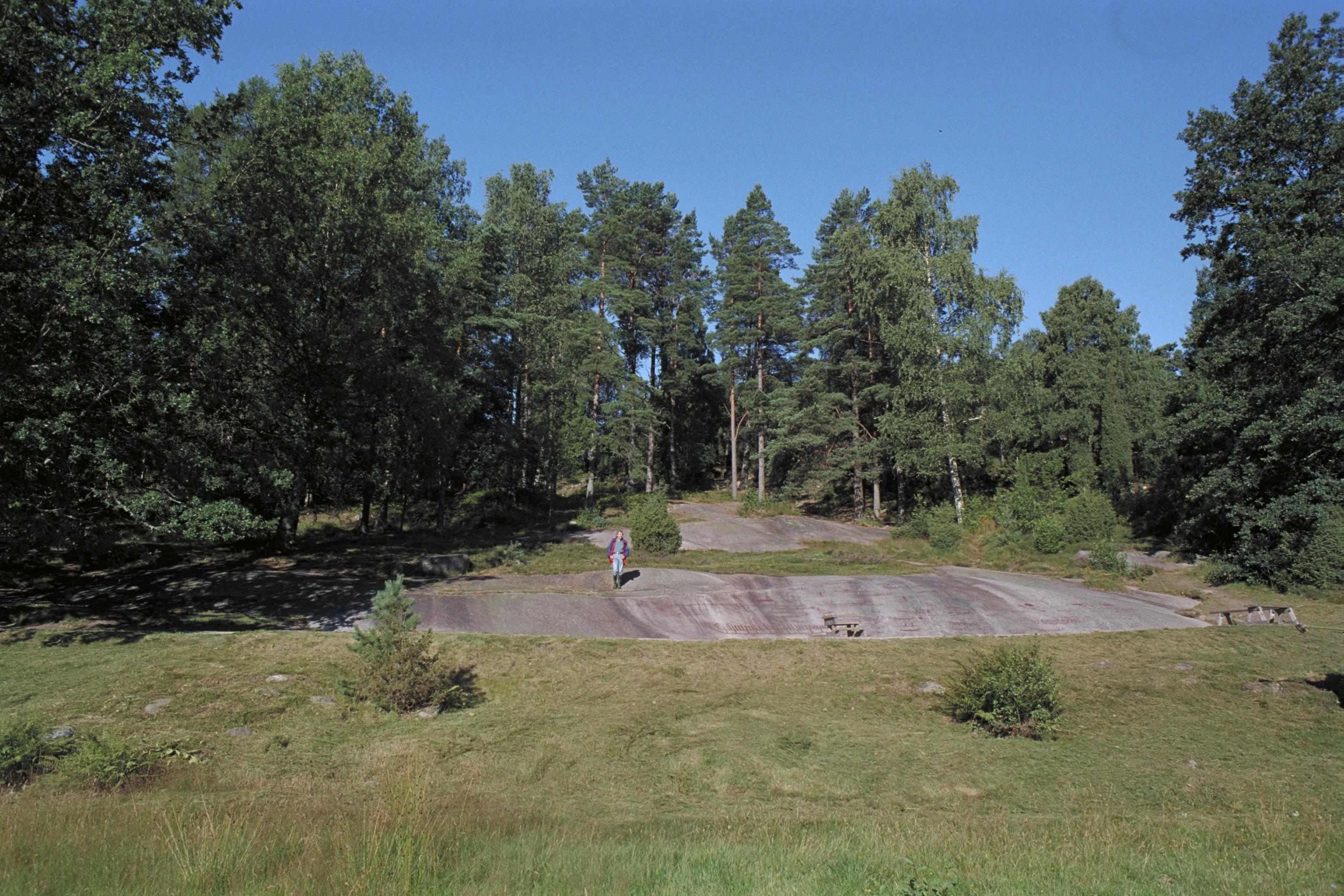 Bengt A Lundberg, Vitlycke hällristningsområde