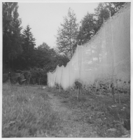 Almvik, fiske i Hjälmaren