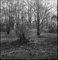 Stockholm, Johanneshovs kolerakyrkogård