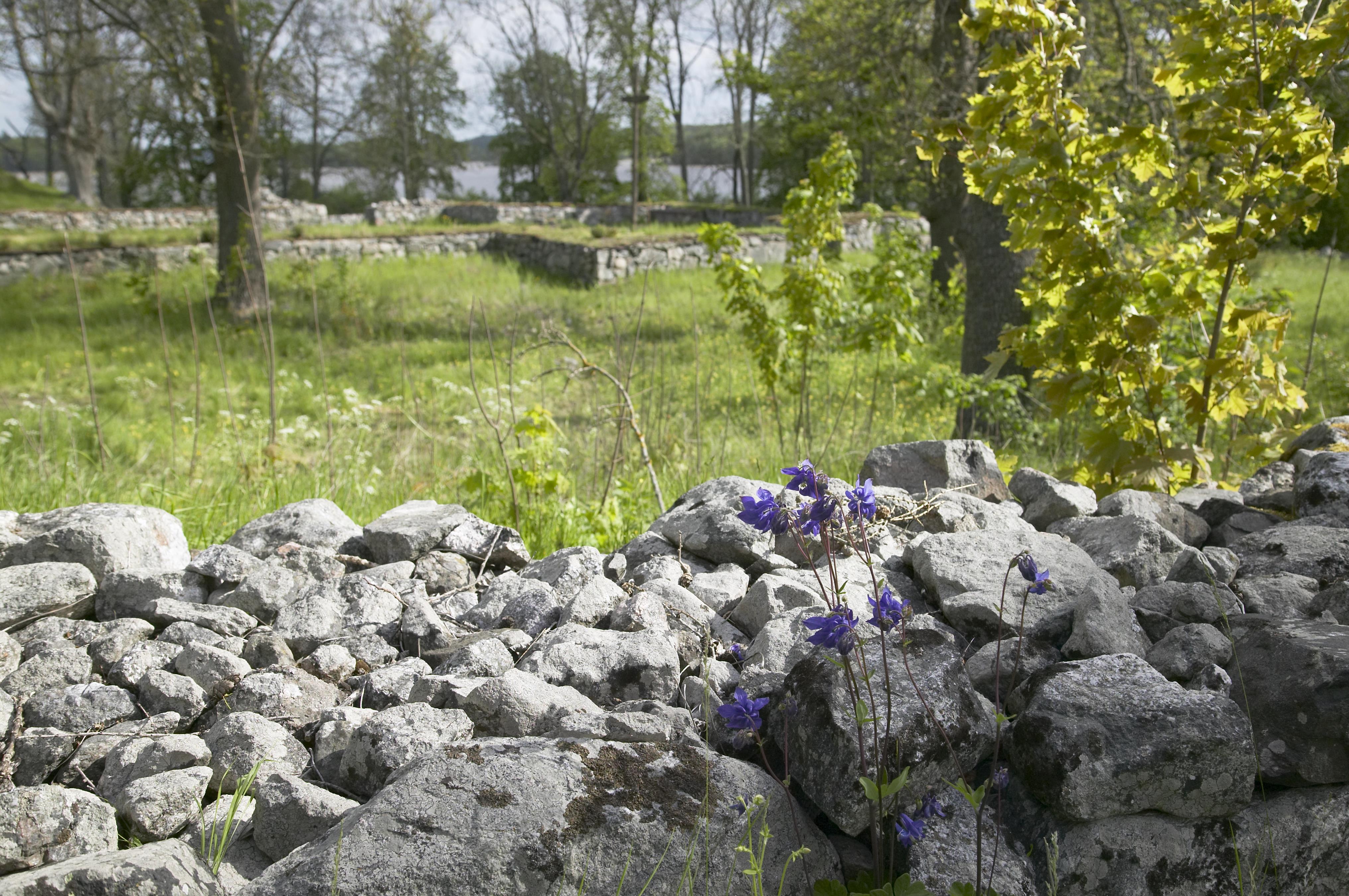 Bengt A Lundberg, Vårfruberga klosterruin