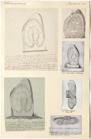 Berga. Runsignum: Vs 18, Vs 19