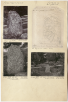 Bergaholm. Runsignum Sö 302