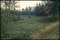 Osby, Kälsved