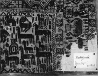 Image of Hr Peterson2006;157