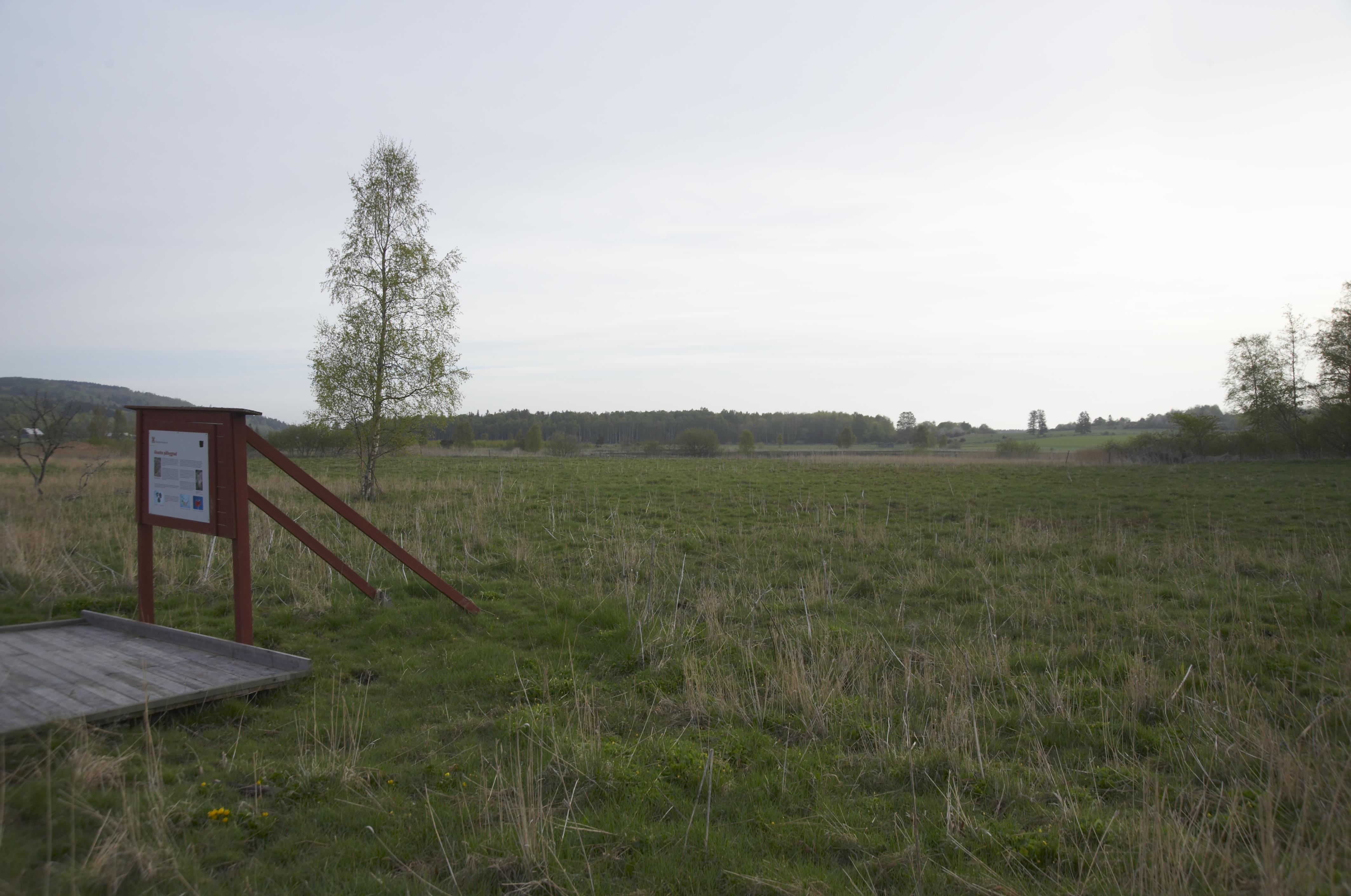 Bengt A Lundberg, Dagsmosse