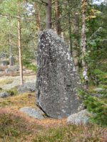 Image of Sö 47