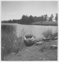 Eksjöhovgård, ruiner